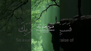 Hazza Al blushi quran quranrecitation راحةنفسية [upl. by Lucic]