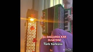 quotŞU DAGLARDA KAR OLSAYDIMquotturk türküsü music trending guitar youtubeshorts cover [upl. by Perloff]