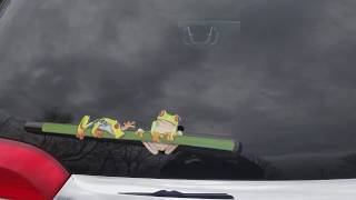 Tree Frog WiperTags attach to rear vehicle wiper blades [upl. by Siurtemed]