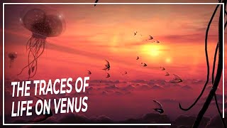 Life Beyond Mysterious Traces of Extraterrestrial Life on Venus  Space DOCUMENTARY [upl. by Nwahsak]