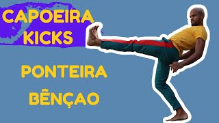 Capoeira Training For Beginners  How to Kick  Ponteira  Bênçao [upl. by Spatola]