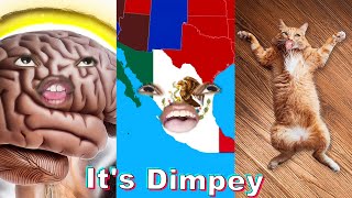 NEWEST ItsDimpey Shorts Compilation 5  Funny Dimpey6 TikToks [upl. by Walkling]