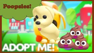 Pets Can POOP Adopt Me Pet Needs Update [upl. by Esyli]