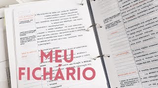 COMO ORGANIZO MEU FICHÁRIO [upl. by Marlow996]