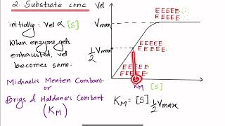 Biochemistry  Enzymes  Factors Affecting Enzyme Action [upl. by Komara942]