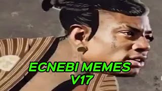 ECNEBI MEMES V17 [upl. by Amand]