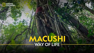 Macushi Way of Life  Primal Survivor  हिन्दी  Full Episode  S4  E1  National Geographic [upl. by Mays]