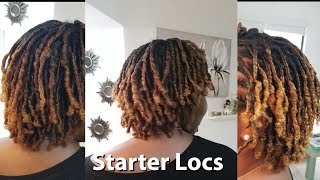 Starter Locs on Curly Natural Hair  Loc Journey Vlog [upl. by Essila940]