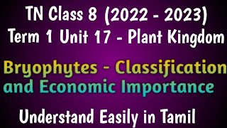 Bryophytes  Classification and Economic Importance Class 8 Science Term 1 Unit 17 Plant Kingdom [upl. by Minier]