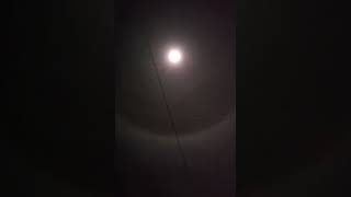 Ring Around Moon  Lunar Halo on November 192024shortvideo lunarphenomenonmoonhalo lunarphases [upl. by Tnecnev]