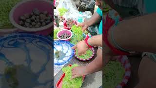 Aquarium plants  Water plants market Kolkatashorts plants [upl. by Drusi546]