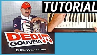 TUTORIAL TOC TOC DEDIM GOUVEIA video aula [upl. by Jeth]