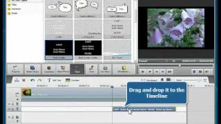 How to add credits to your video using AVS Video Editor [upl. by Anauqed]