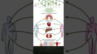 How Glyphosate Affects Gut Health [upl. by Nilreb]