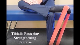 Tibialis Posterior Strengthening Exercise [upl. by Publea438]