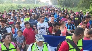 The Big Vote Migrant caravan early voting 538s House and Senate forecast  ABC News [upl. by Nomi]