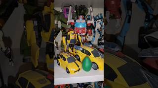 Collection Shelf of Transformers Animated [upl. by Eraste]