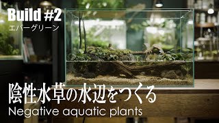 ［陰性水草の水辺］アヌビアスやブセファランドラを水上で育てるレイアウト  植栽編 [upl. by Haslett995]