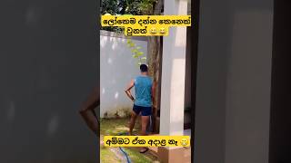 අම්මට ඒක අදාළ නෑ 😂😂 shortvideos ytshorts shorts [upl. by Enamrahs110]