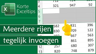 Meerdere rijen tegelijk invoegen [upl. by Engelbert]