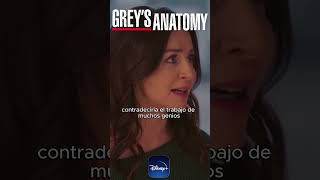 📣 GREYS ANATOMY temporada 19 YA DISPONIBLE en mi CANAL 🍿 greysanatomy anatomiadegrey [upl. by Redford905]