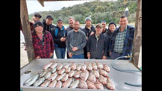 MICKS BUCKS PARTY LAKES ENTRANCE FAR OUT FISHING CHARTERS PINKY SNAPPER OCTOBER 2022 [upl. by Treblig]