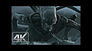 Daniels Vs PROTOMORFO  Alien Covenant 2017  LATINO 4kHD [upl. by Whelan]