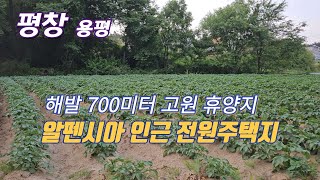 평창 용평 해발 780고지 4계절 종합 고원 휴양지 알펜시아 투룬골프장 앞 양지 바른 전원주택 펜션 별장 부지 전 319평 매매 1억9천1백만원 [upl. by Lukasz768]