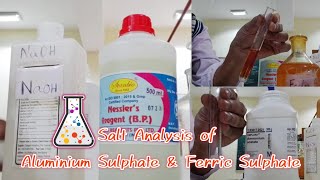 Salt Analysis of Aluminium Sulphate and Ferric Sulphate saltanalysis class12chemistry [upl. by Garris]