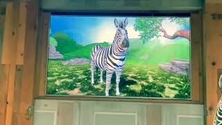 San Diego Zoo Kids Theater featuring Robert the Zebra is talking to me at San Diego Safari Park [upl. by Aiuqes834]