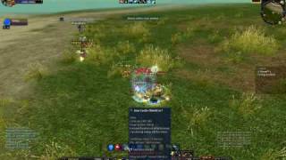 Silkroad  LvL 110 Son Sword Nuker PvP [upl. by Vanhomrigh]