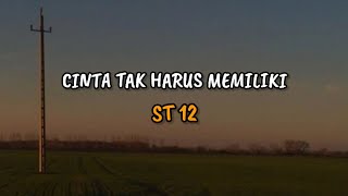 ST12  Cinta Tak Harus Memiliki  VIDEO LIRIK [upl. by Guild541]