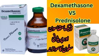 Dexamethasone Vs Prednisolone in Veterinary  Difference between Dexamethasone and Prednisolone [upl. by Tymothy]