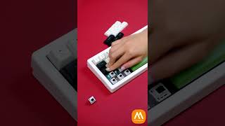 MDA Panda có thiệt sự NGON BỔ RẺ akko keycaps maxpinggear mda panda shorts [upl. by Lukey]