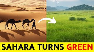 STOP Believing These Sahara Desert Myths and Learn the Truth About Its Green Revolution [upl. by Elletsirhc359]