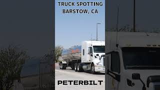 TRUCK SPOTTING 01356  PETERBILT automobile semitrailer trucking [upl. by Alauqahs]