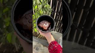 CRAVINGS BAKESHOP MULTAN🥰 youtubeshorts food foodie shortsviral trending chocolate [upl. by Nelrsa711]