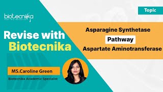 Asparagine Synthetase vs Aspartate Aminotransferase Pathway  CSIR NET Revision With Biotecnika [upl. by Frager442]