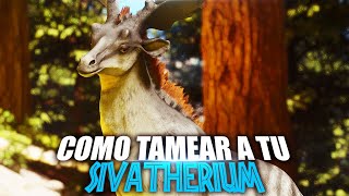 COMO TAMEAR A TU SIVATHERIUM  Guia Español  Ark Survival AscendedEvolved [upl. by Rehtnug]