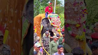 Gajapayana Mysuru Dasara 2023 was flagged off at Veerana Hosahalli Nagarahole led by Abhimanyu [upl. by Dayir]