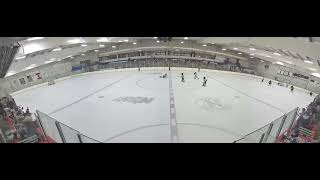 Honeybaked 10U vs Grand River Cougars in the LCAHL playoffs Tomlinson gamewinner with 2s left [upl. by Quitt]