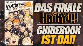 Das FINALE Haikyuu Guidebook  Firu  deutschgerman [upl. by Diao]