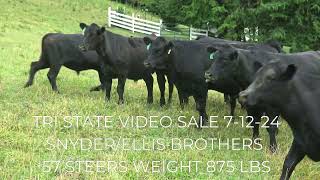 Tri State Video sale 71224 at 1pm [upl. by Enyleve819]