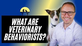 Everything To Know About Veterinary Behaviorists Before Making an Appointment for dogs and cats [upl. by Eilyah]