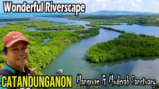 Where is this quotGREATquot Riverscape Mangroves amp Forested Community CATANDUNGANON x HINAMPACAN  BICOL [upl. by Ahsap]