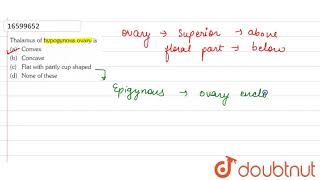 Thalamus of hypogynous ovary is [upl. by Etteloiv478]