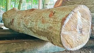 sawing acacia logs full of dense fibers into quality boards [upl. by Minnie]