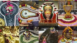 Dwadasa jyotirlinga stotram mantra jaap [upl. by Ahsinev]