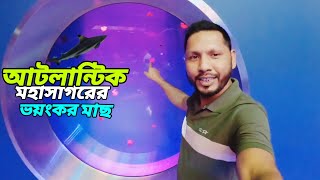 আটলান্টিক মহাসাগরের আমার দেখা সবথেকে ভয়ংকর মাছ  bahrain state  aquarium [upl. by Dabbs]