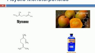 Terpenoids ppt [upl. by Nirual673]